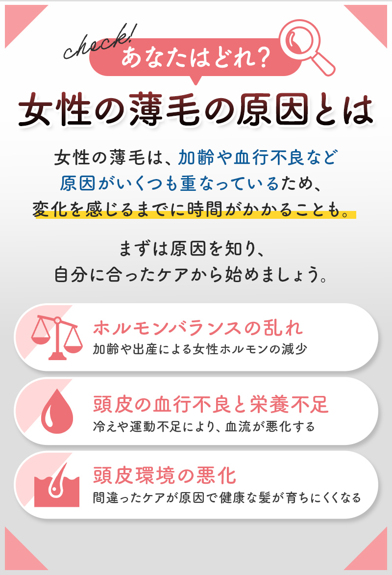 薄毛の原因とは？