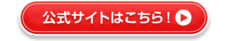 公式サイトから最安値で買う