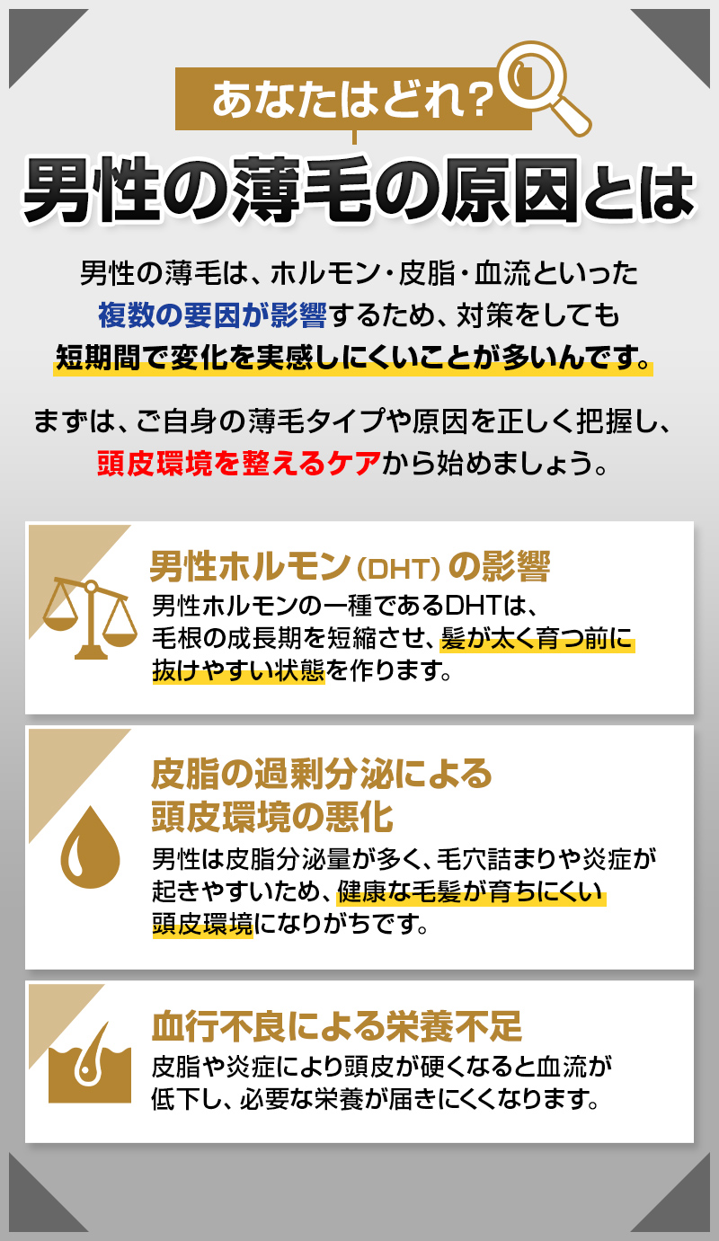 薄毛の原因とは？